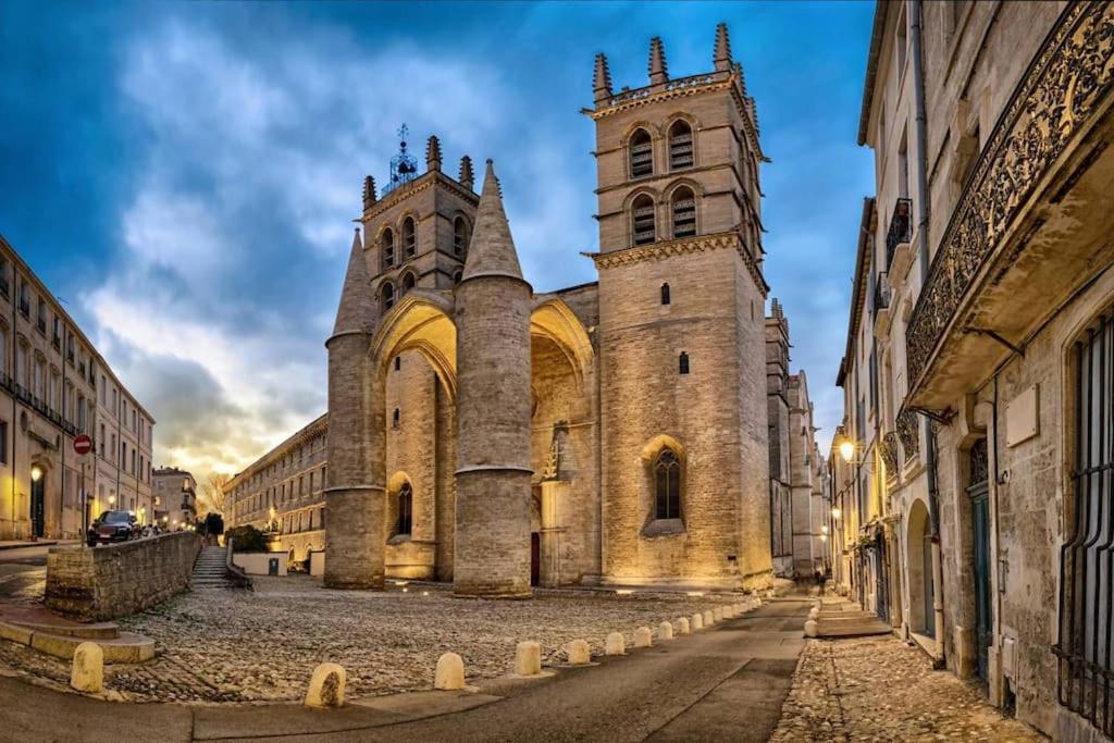 Studio Au Coeur Historique De Montpellier, 2 Personnes Et Wifi Eksteriør bilde